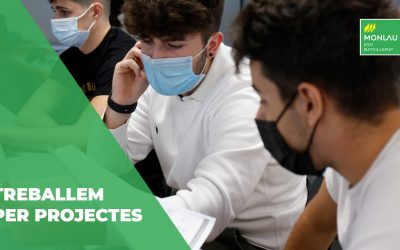 Treballem per projectes
