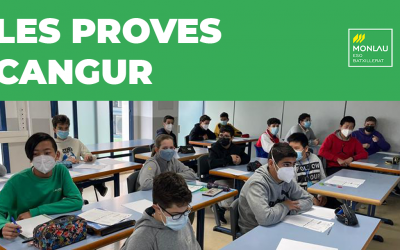 Les proves cangur de matemàtiques