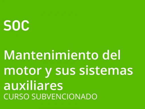 Mantenimiento del Motor y Sistemas Auxiliares (nivel 2)
