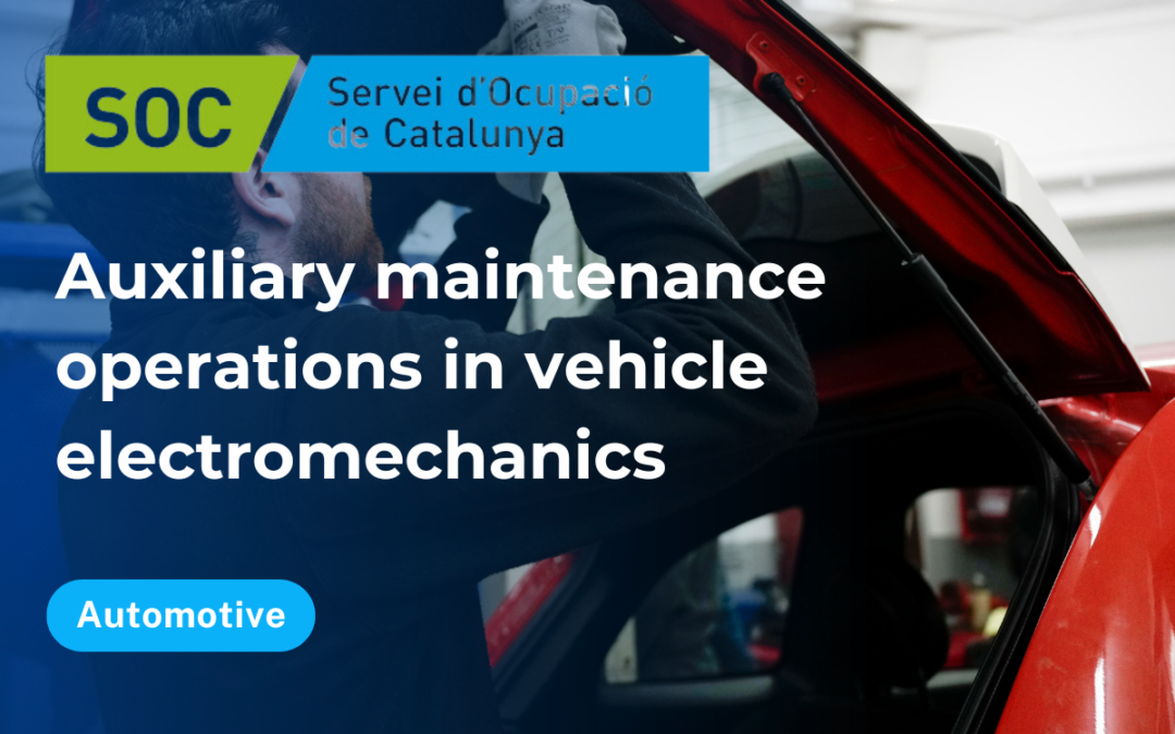 Auxiliary maintenance operations in vehicle electromechanics